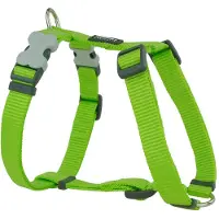 Red Dingo Smooth Hundesele