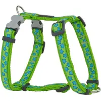 Red Dingo Style Star Hundesele