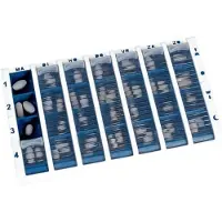 Seniorshop Doseringseske - 7x4 rom