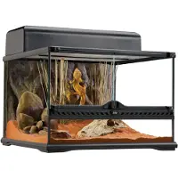 Ginza.se Natural Terrarium Nano Terrarium