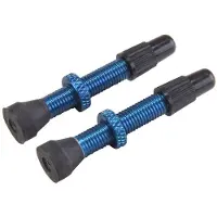 VAR 2 Alloy Presta Ventiler