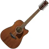 Ibanez AW5412CE 12 String Electro Acoustic Open Pore Natural