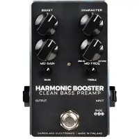 Darkglass Friedman DS 2-Channel Preamp Module
