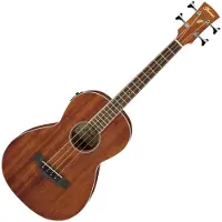Ibanez PNB14E Electro Acoustic Bass Open Pore Natural