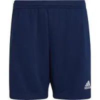 Adidas Entrada 22 Training Shorts