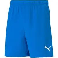 Puma Teamrise Shorts