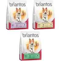 Briantos Adult Laks & Ris - 4 x 1 kg