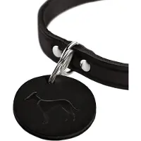 Hunter Pet Aalborg Hundehalsbånd