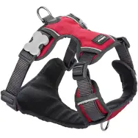 Red Dingo Acolchado Hundesele