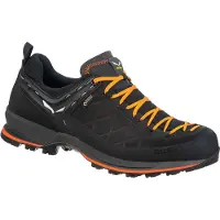Salewa Mtn Trainer 2 Goretex Tursko