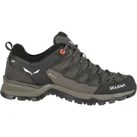 Salewa Mtn Trainer Lite Goretex Tursko