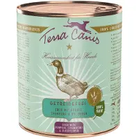 Terra canis kornfritt 6 x 800 g - And med gresskar, jordbær og hylleblomst