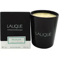 Lalique Poplar Aspen 190g Lys