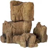 Dohse Fossil Rock 3,19x10x17 cm