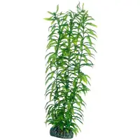 Hobby Dohse Heteranthera, 34 cm