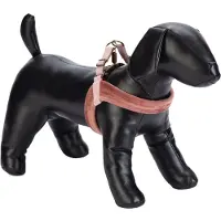 Designed By Lotte Velura Hundesele