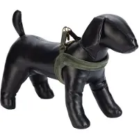 Designed By Lotte Velura Hundesele