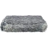 Trixie Yelina Kjæledyrpute