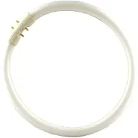 Philips 2GX13 60W 840 sirkellysrør Master TL5