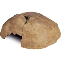 Exo Terra Ekstra Stor Reptilstein-hule