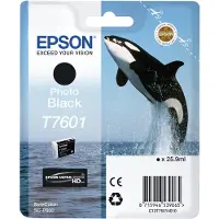 Epson T7601 Photo Black Ink