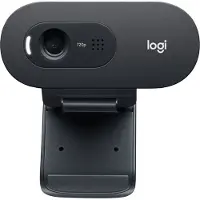 Logitech C505e - Nettkamera - farge - 720p - fastfokal - lyd - USB