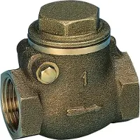 Pettinaroli Brass swing check valve with metal disc 3/4