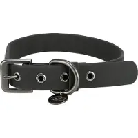Trixie CityStyle collar, PVC, L: 45–52 cm/25 mm, black