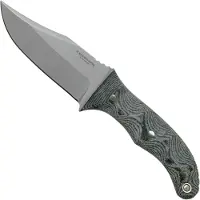 Condor Little Bowie