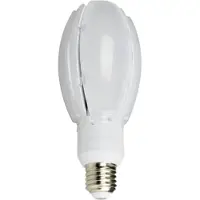Nasc NASCAR LED Oval Gårdsplass pære 24W E27 3000K