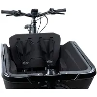 Cube Cargo Safety Belte