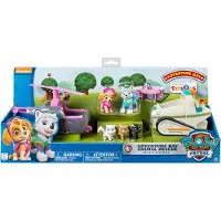 Paw Patrol Skye & Everest Kjøretøy