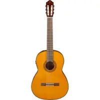 Yamaha CGX122M Classical Electro Acoustic Spruce Natural