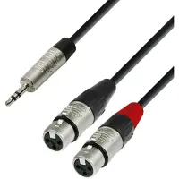 Adam hall 4 STAR Rean 3.5mm TRS Mini Jack to Twin XLR (F) Splitter Cable 1.8m