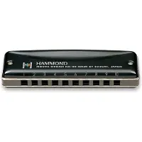 Suzuki Musical Instruments Hammond HA-20 harmonica. key: C