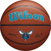 Wilson Electronics Wilson Team Alliance Charlotte Hornets WTB3100XBCHA Basketball str. 7