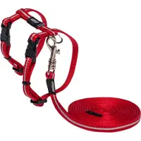 Rogz Alley Clj16-c And Leash Kattsele
