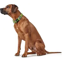 Hunter Hilo Vario Basic L-xl Hundehalsbånd