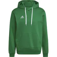 Adidas Entrada 22 sweat hoodie grønn HI2141 2XL