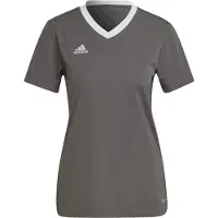 Adidas Entrada 22 Kortarmet T-skjorte