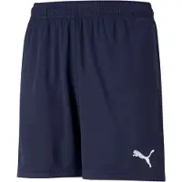 Puma Teamrise Training Shorts