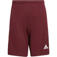 Adidas Squadra 21 Shorts