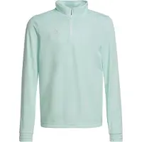 Adidas Entrada 22 Training Collegegenser