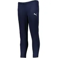 Puma Teamrise Poly Treningsbukse
