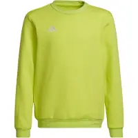 Adidas Entrada 22 Stadium Sw Collegegenser