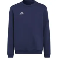 Adidas Entrada 22 Stadium Sw Collegegenser