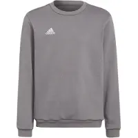 Adidas Collegegenser - Grå - - 14 år (164) - Collegegenser