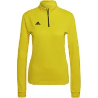 Adidas Entrada 22 Training Collegegenser
