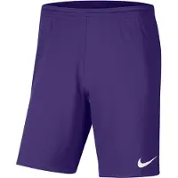 Nike Shorts for menn Dry Park III NB K lilla BV6855 547 (S)