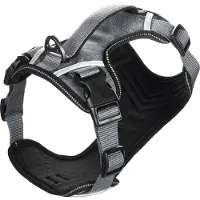 Flamingo Heron Hundesele